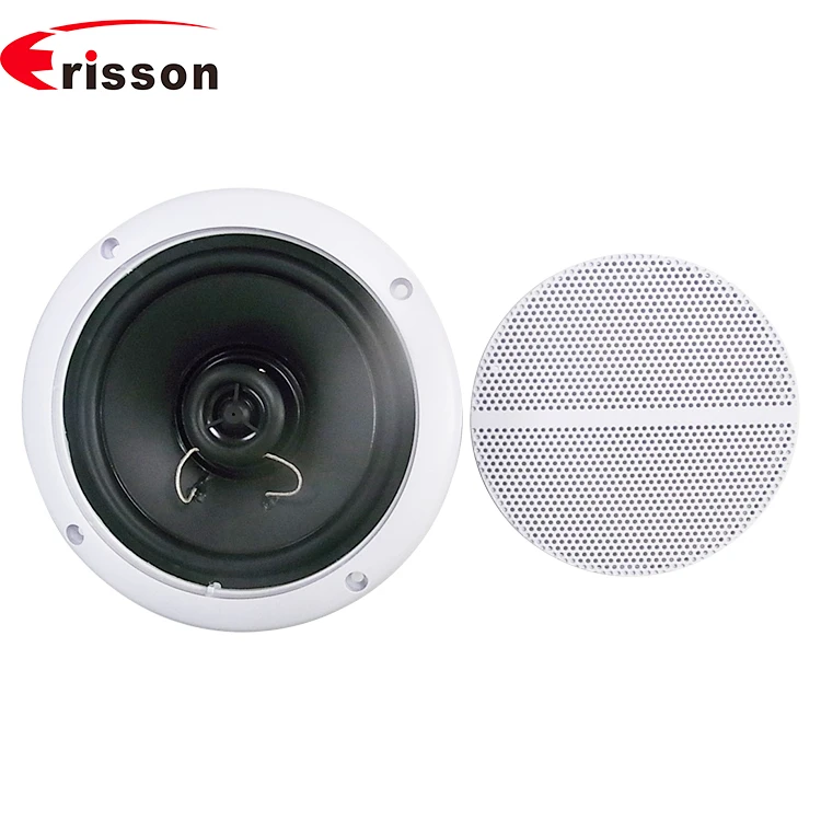 OEM/ODM Professional 6.5 Inch 30W IPX6 Waterproof Marine Speaker Boat Yacht