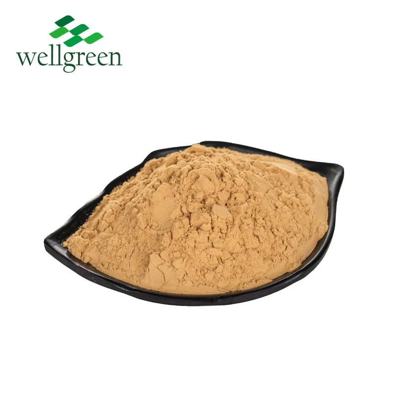 
High quality Feed Additives Organic Water Soluble Instant Ginger Extract Powder 