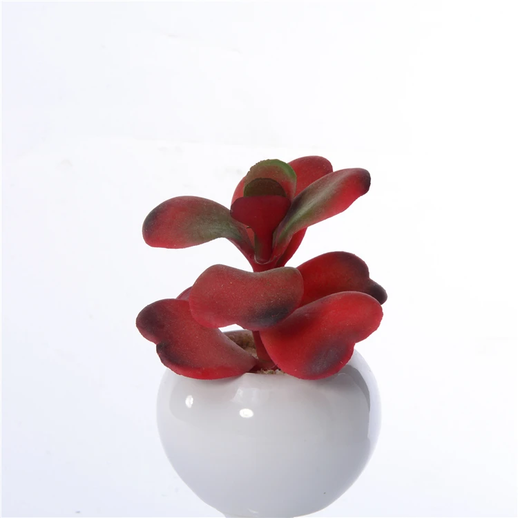 High quality Artificial mini Succulents potted with ceramics pot desk decoration  for home office indoor decoration