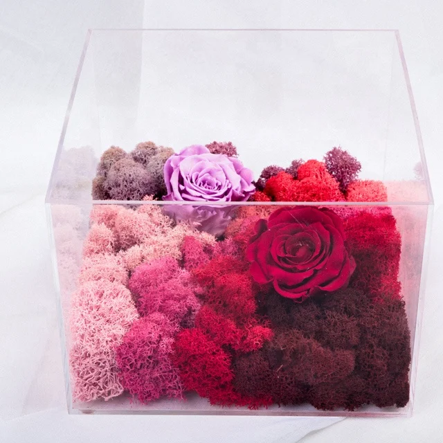 Preserved artificial live moss dried natural moss