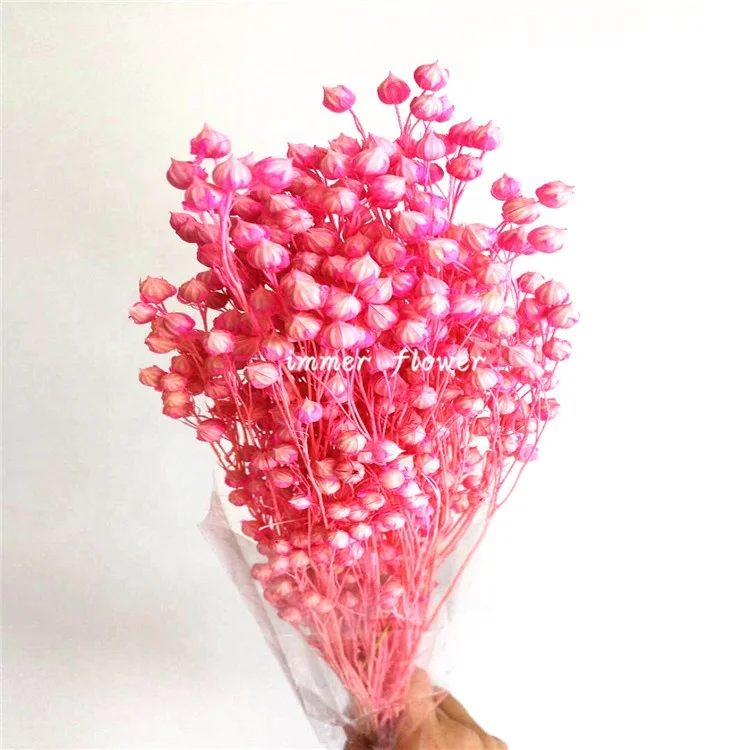 Special Dry Flax for DIY Floral Arrangement Wedding Bouquets