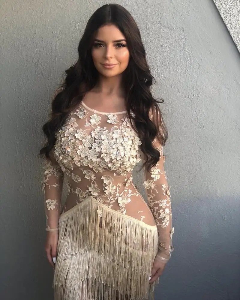 Nude Long Sleeve Lace Embroidery Floral Crystal Tassel Sexy Bodycon Dress 2019