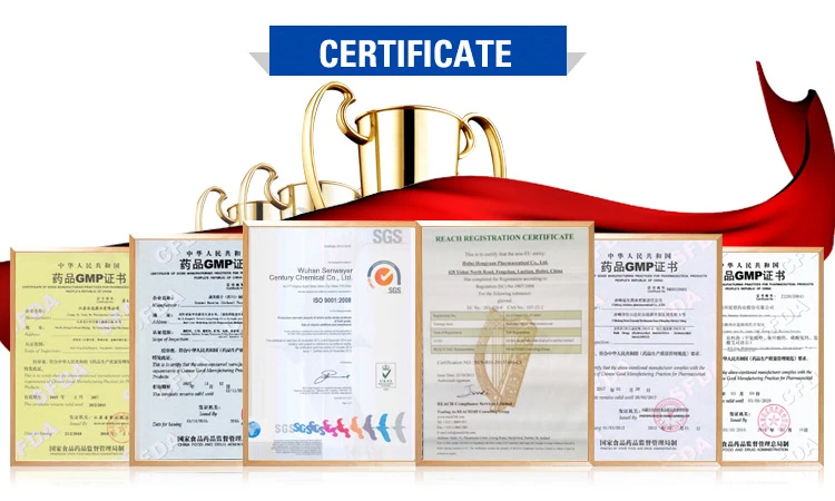 
nootropics powder alpha arbutin 50% prices Choline Alfoscerate/glycerophosphate CAS 28319-77-9 99% Alpha GPC powder 