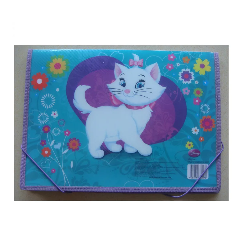 custom printing plastic expanding file