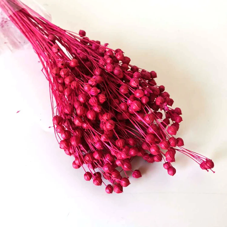 
Bulk Dried Flowers Purple Preserved Flower Dried Flower 
