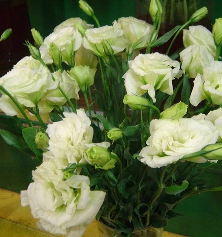 wholesale fresh flowers flower delivery freshness guarantee eustoma bouquets