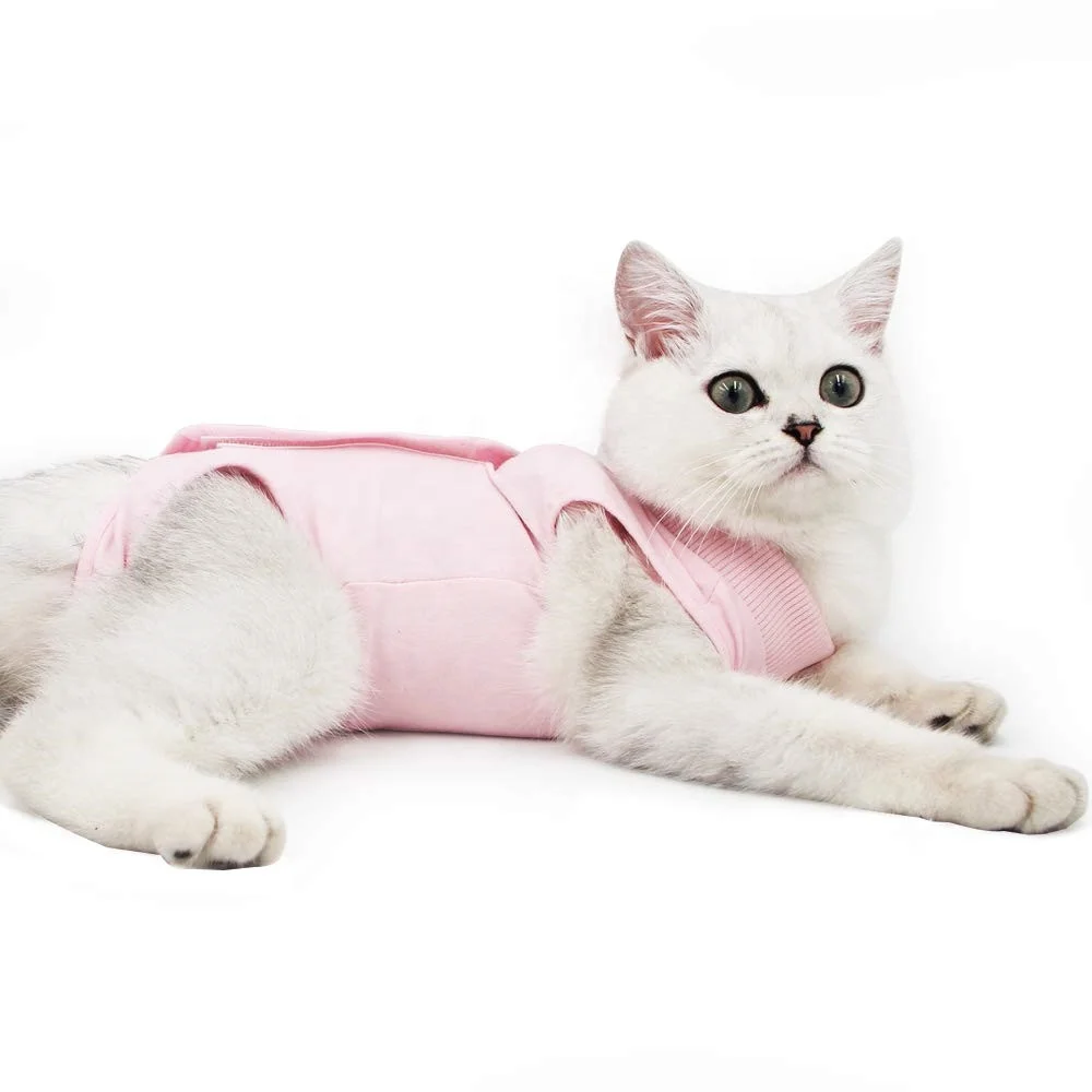 Прочный профессиональный костюм кошки для восстановления ран и кожных заболеваний