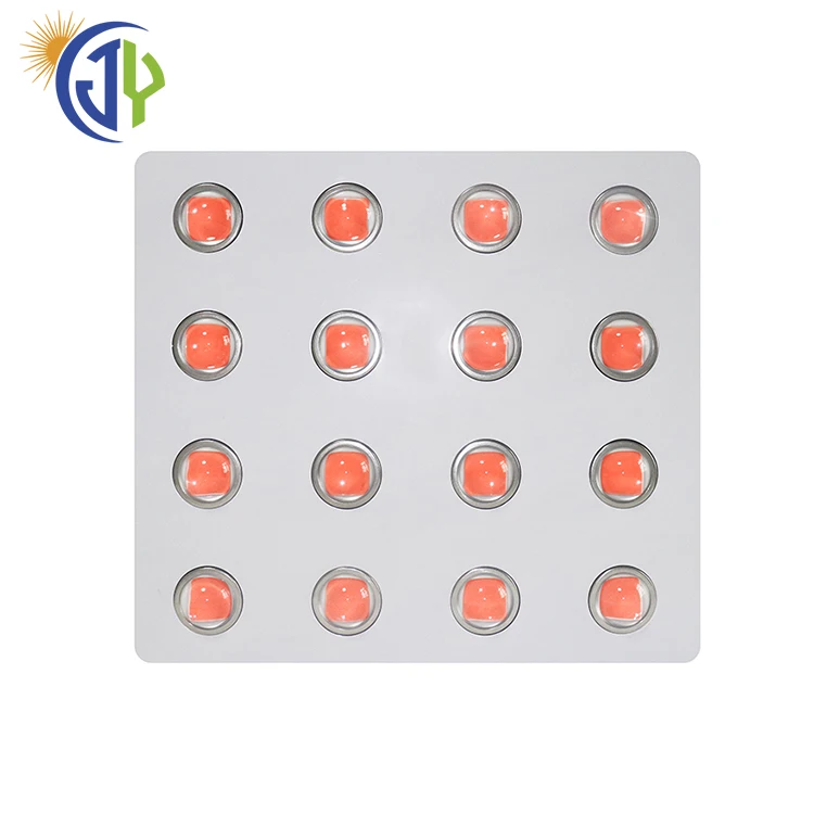 Growing Bulb Kits Indoor 800W Plant LED Grow Light For Plant Growth