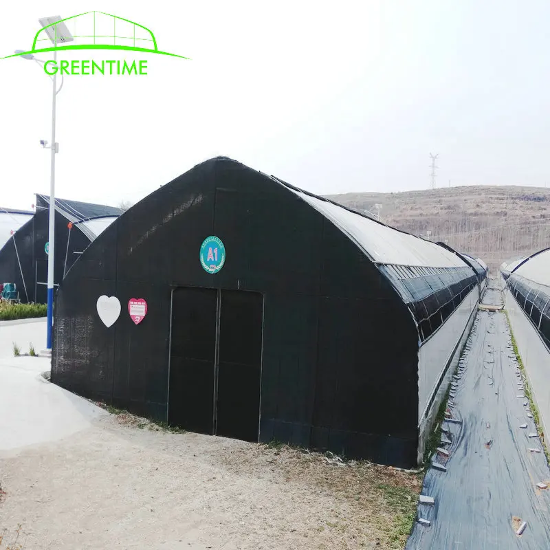 Commercial plastic greenhouse mushroom farm plastic greenhouse of agriculture equipment