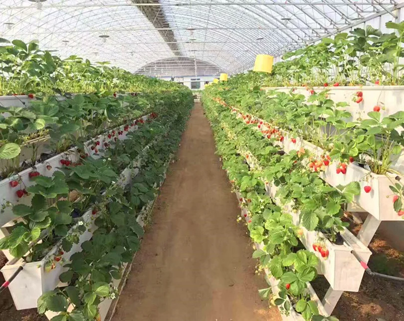 
Farm irrigation system for in-solar greenhouse commercial 