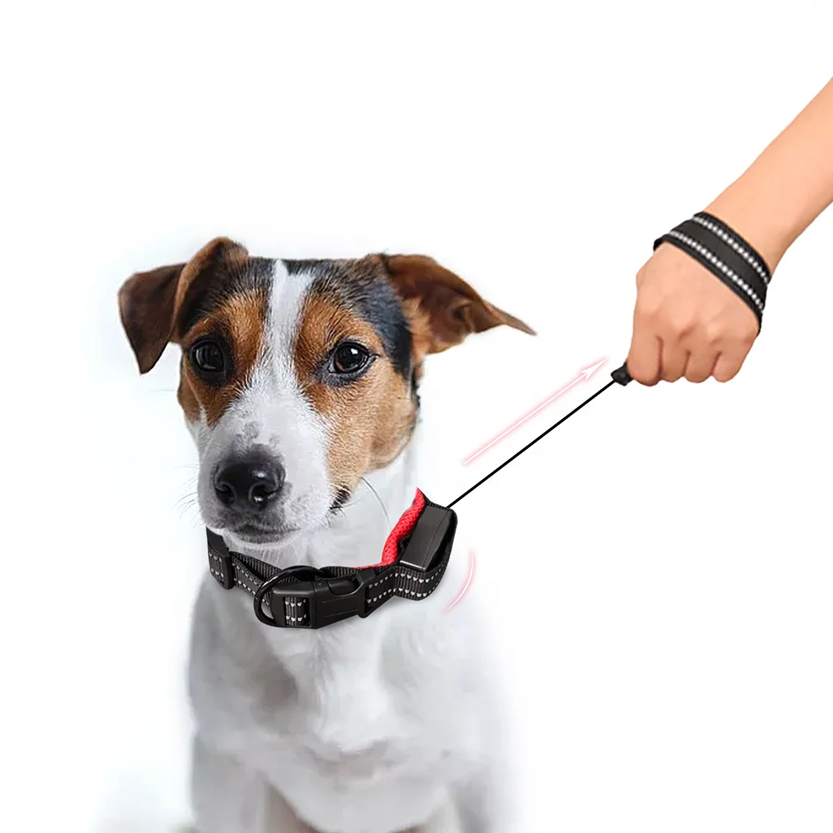 Pet Supplies Dog Collar Leash with Buckle Collar Elastic Adjustable Leash AutomaticallyRetract Pet Leash New Design for Dogs