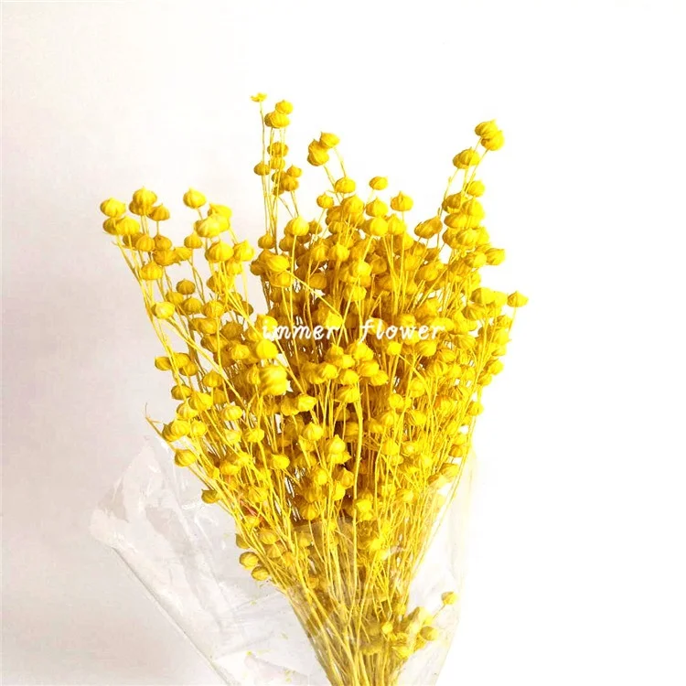 Special Dry Flax for DIY Floral Arrangement Wedding Bouquets