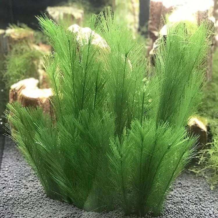 Aquarium Decorations Fish Tank Artificial Green Water Plants Made of Silk Fabrics Plastic, Non-Toxic & Safe for All Fish & Pets