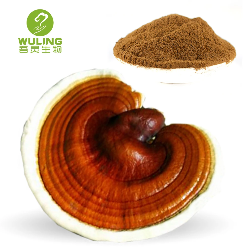 Лидер продаж, экстракт грибов рейши