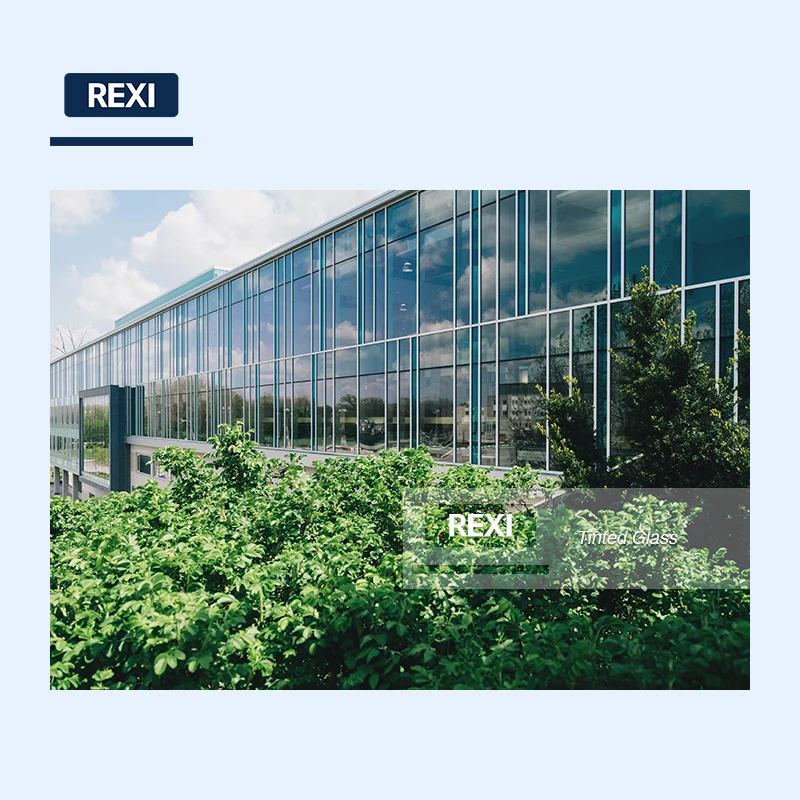 1.8mm tinted glass sheet doors