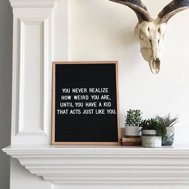 Clever  Letterboard Quotes, Sayings and Ideas Humorous Felt Letter board