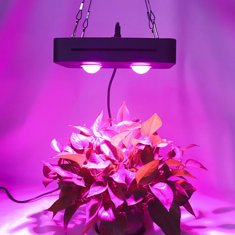 Indoor Greenhouse High Efficiency 100W Full Spectrum LED Plant Grow Light