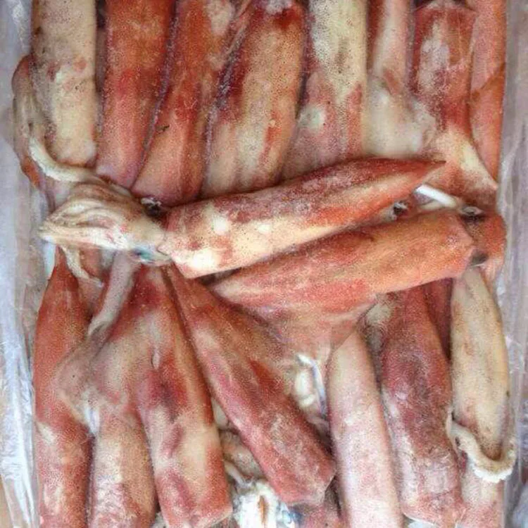 
Good price frozen squid whole Chinese Loligo Squid frozen illex squid for sale 