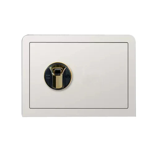 Fingerprint Card Electronic Cash Safe