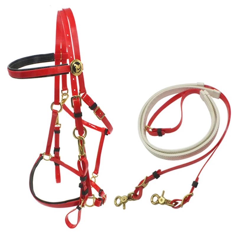 Australian Saddle Style Barrel Racing Bridle and Rein Set Durable Nylon Horse Halters Made for Equestrian Use
