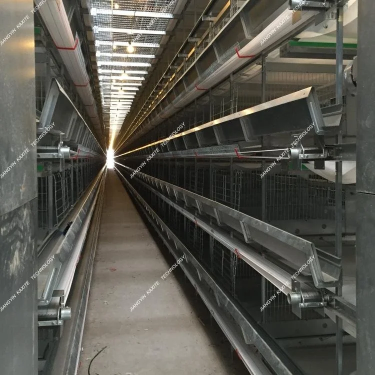 PP Manure Conveyor Belt Poultry Cage System Automatic Cage System