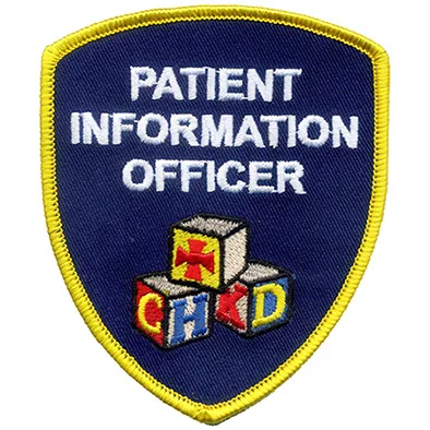 
Customized Heat Transfer Sticker Shoes Display Wilcom Digitizing Cartoon Design Ribbons Special Shape Embroidery Designs 