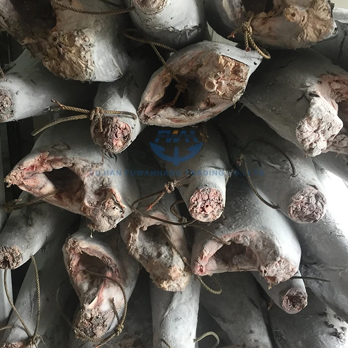
Frozen black/blue marlin fish China factory price 