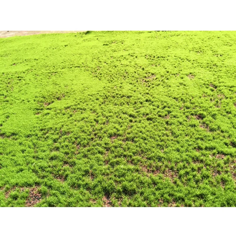 wholesale artificial peat moss mat wall panel art, green moss for decoration