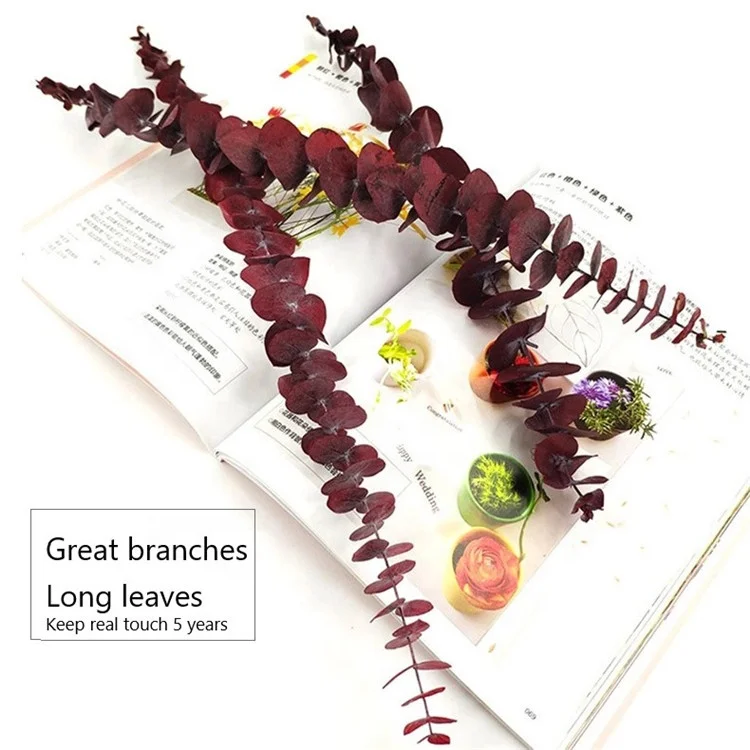 K-3117 Hot Sale Wholesale Preserved Willow Silver Dollar Eucalyptus