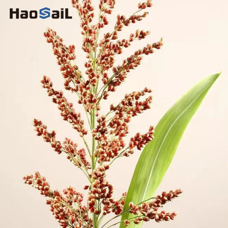 
High quality nutritional plant protein QUINOA PEPTIDE POWDER 