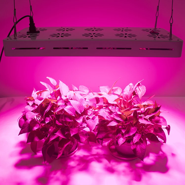 Factory Supply Full Spectrum Plant Indoor Pink 500W LED Grow Light