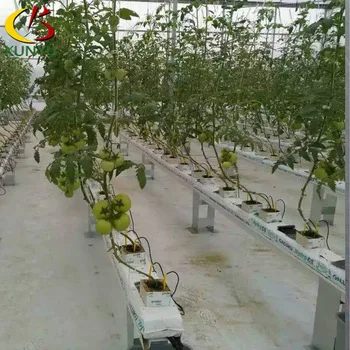 Manufacturer supply 120*80mm NFT Greenhouse Complete Hydroponic Growing  System for Melon and Fruit