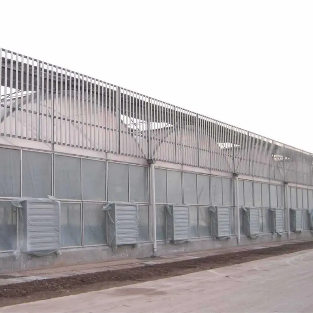 Economical Poly tunnel Plastic Film Agricultural Greenhouse Morocco for Vegetable Planting