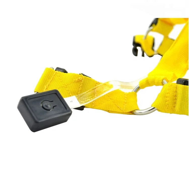 Лидер продаж на Amazon, перезаряжаемый светящийся Регулируемый жилет, нагрудный светодиодный провод для домашних животных