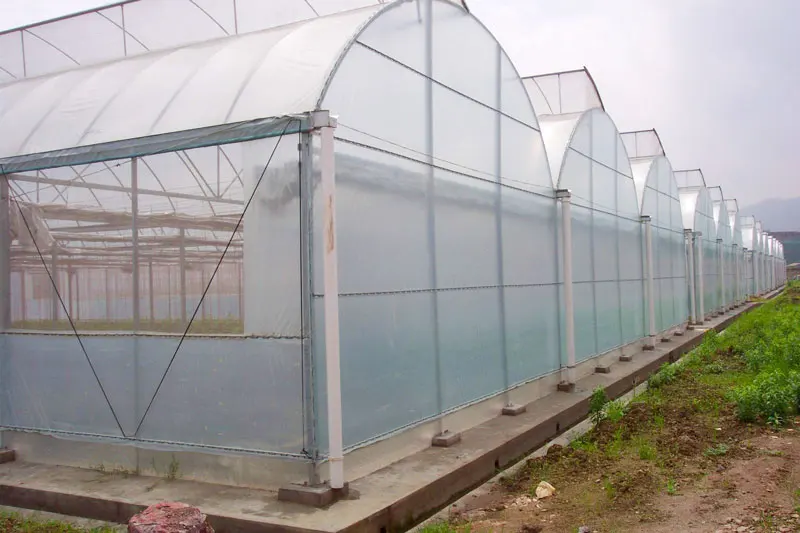 
Hydroponic System Garden Tunnel Multi-span plastic Film Greenhouse 