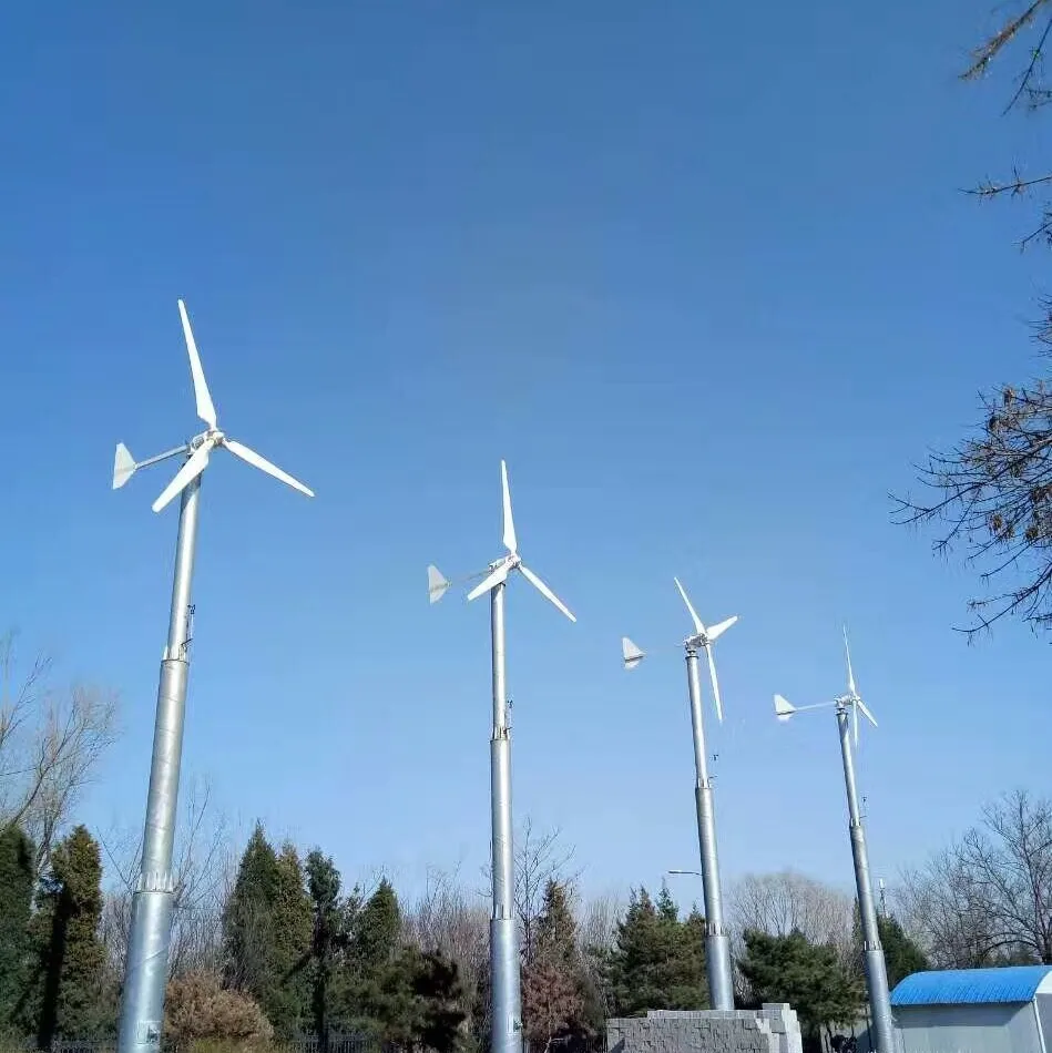 
China cheap 3kw wind turbine factory make wind generator wind mill 