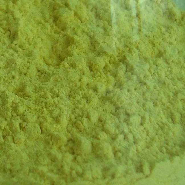 Пищевая традиционная Тыква семян белка порошок