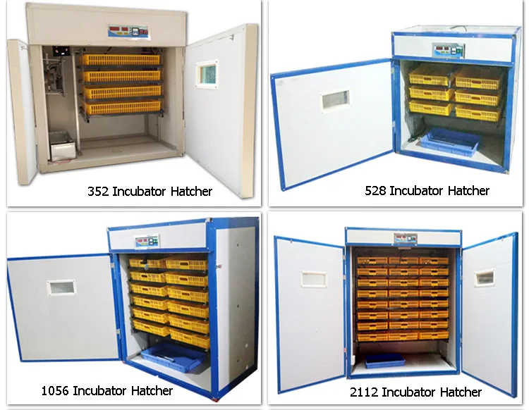 Экологический энергосберегающий инкубатор для инкубатора яиц