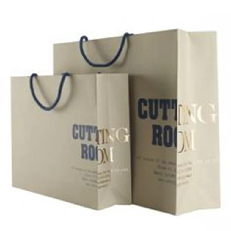 DZ07 Color Paper Bag Supplier Cheap Printed Paper Packaging Handle Bag, Design Focus Gift Bags