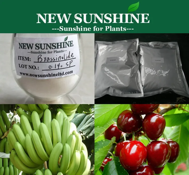 Professional Manufacturer Natural Brassinolide Solubility