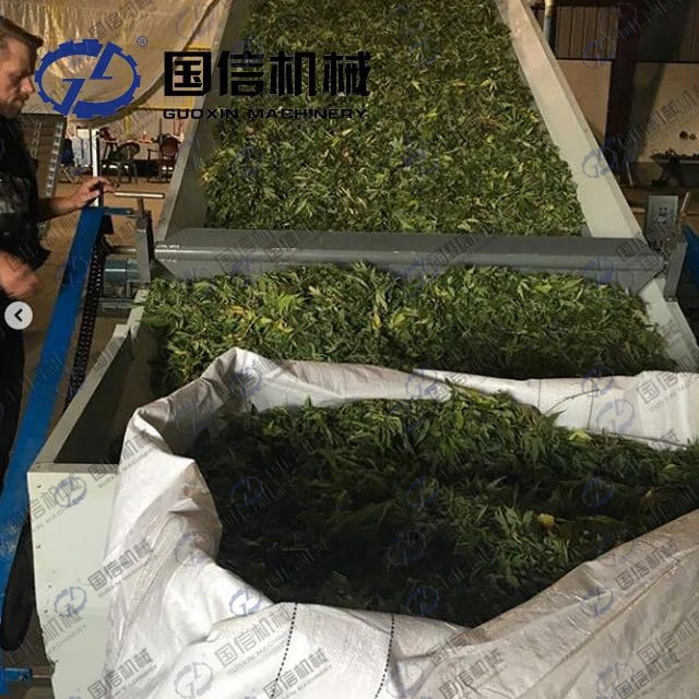 Used for extracting CBD industry hemp dryer ready to ship