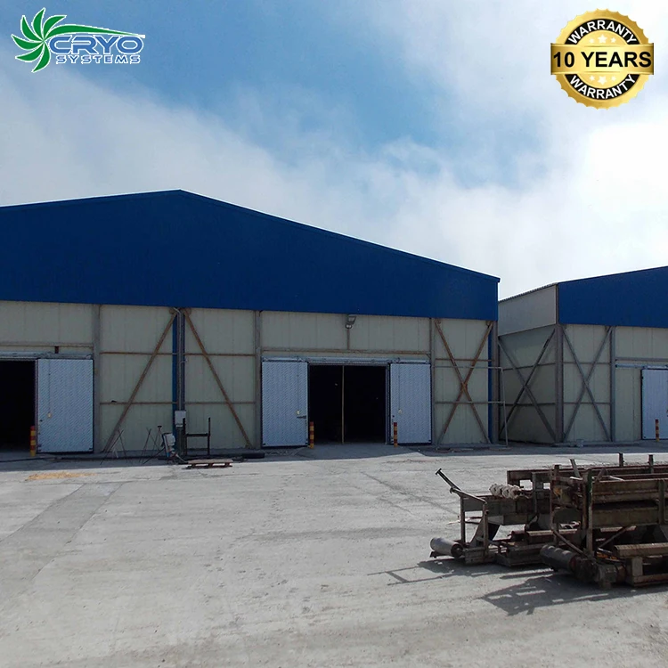 Vegetables Fish Food Quick Shock Freezer Equipment for Black Rose Plants Lobster Frozen Chicken Meat