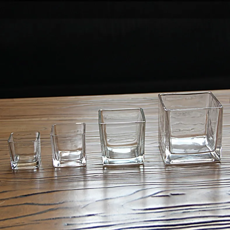 Mini Clear Cube Glass Terrarium Planter Succulent Plant Pot for Indoor Plant