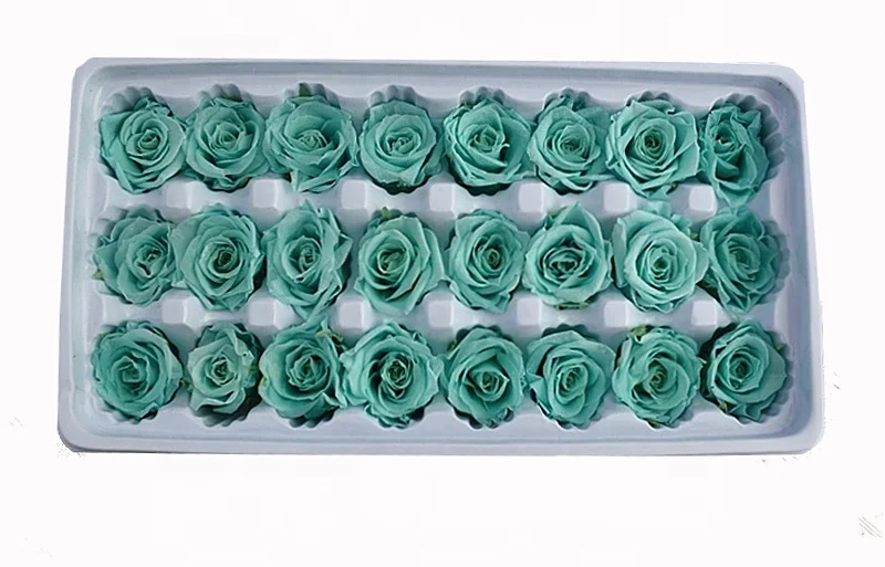 Flora 2-3 cm Champagne Color Preserved Natural Mini Roses Flowers In Box preserved roses
