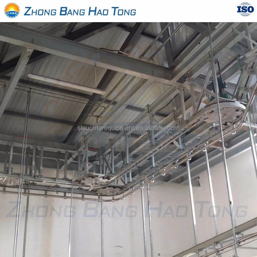 Professional Cow Slaughtering equipment Cattle bleeding line