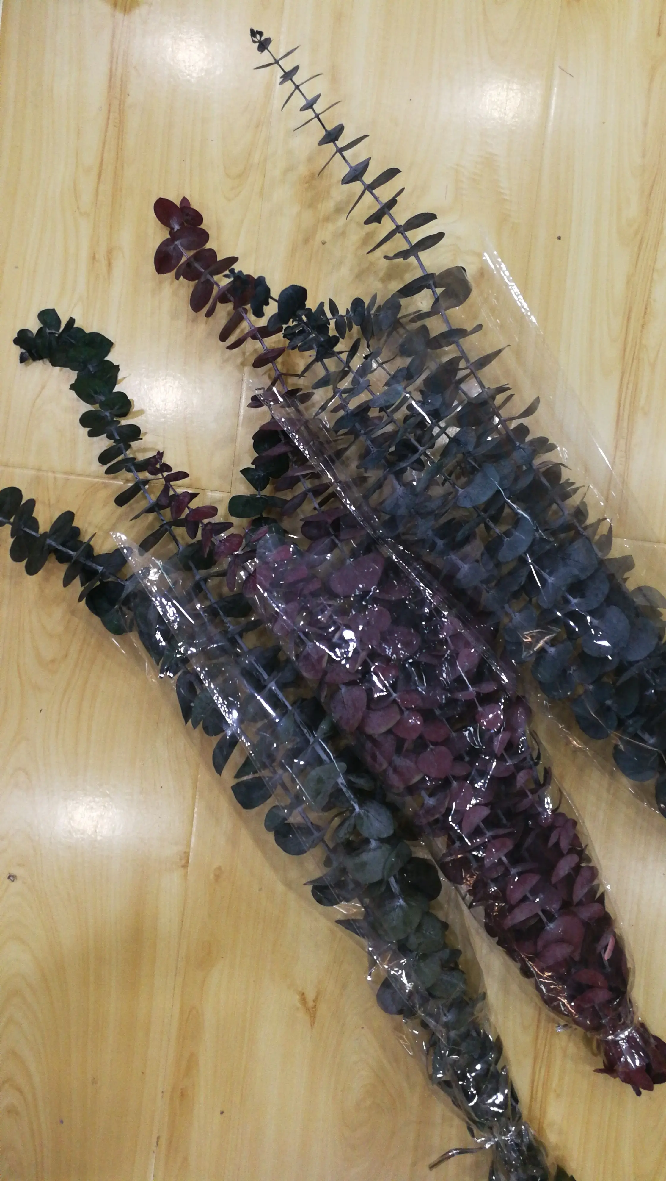 Preserved Flower Eucalyptus Green Leaves Dry Flower For Sale