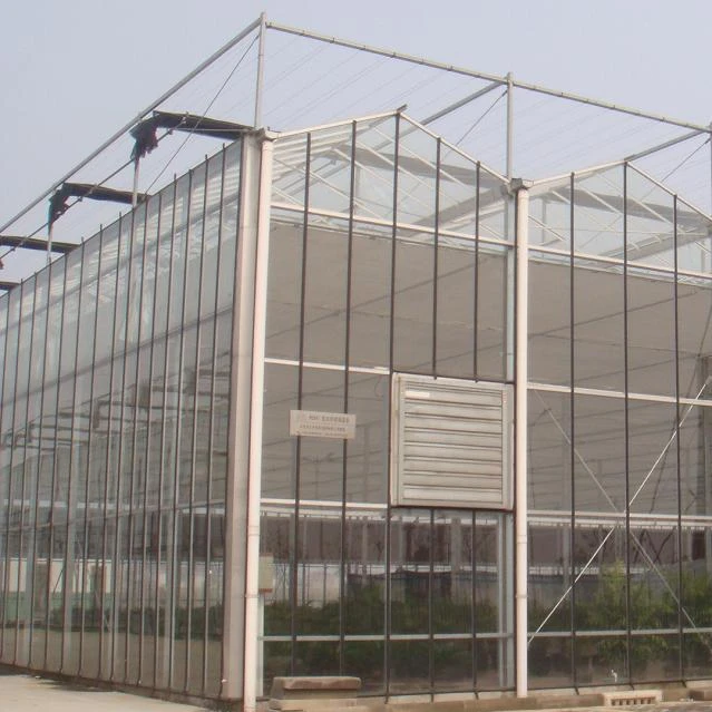 
long life multi span polycarbonate sheet greenhouse 10mm 