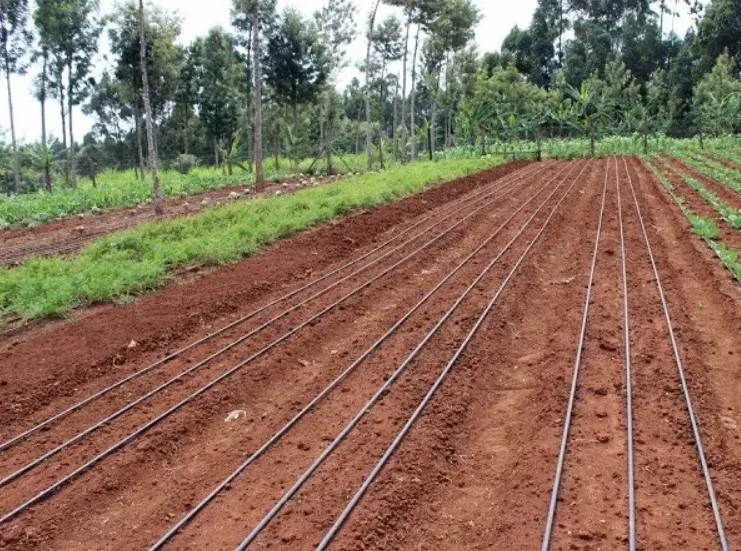 16 мм водосберегающая ирригационная лента, плоская эмиттерная капельная лента для ирригационной системы фермы