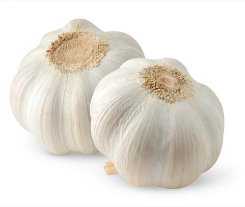 
New Crop Normal White Garlic 
