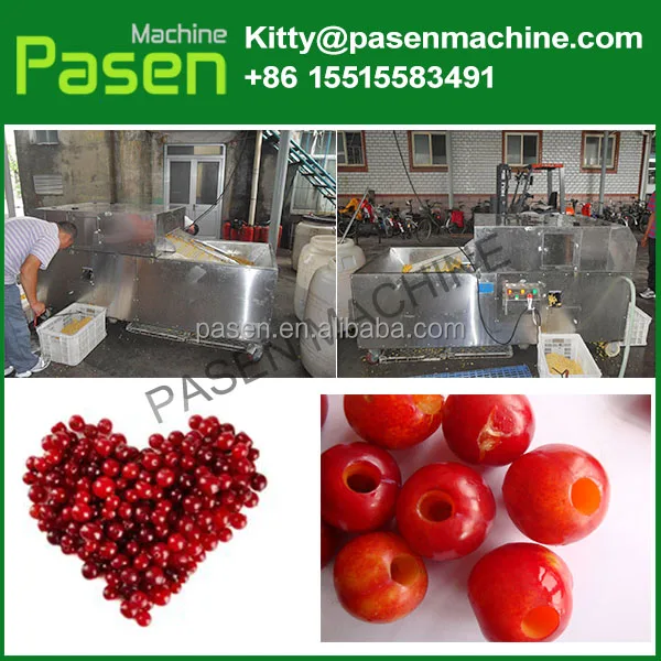 Cherry Вишневый Питтер/оливковая косточка Удалить машина/ядро питтинг машина